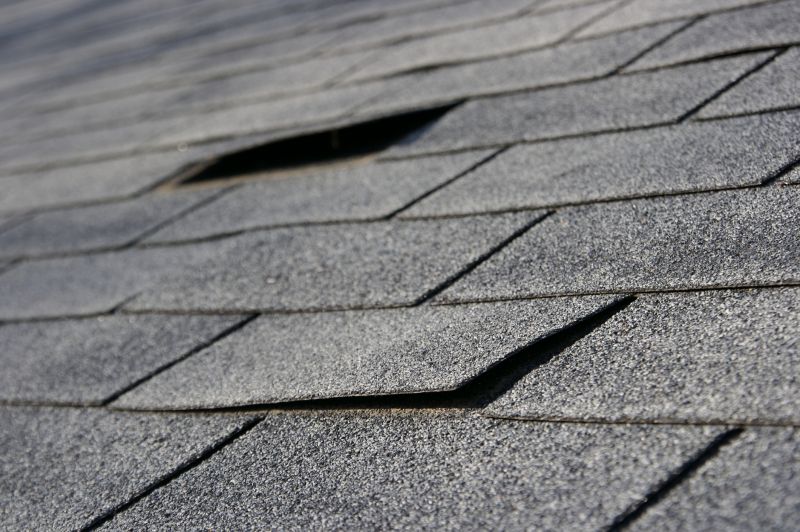 Professional Asphalt Shingle Repair
